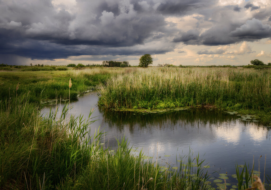 Вот и туча собралась - Валерий VRN