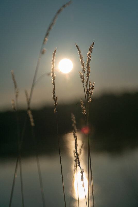 ... - Николай Северный