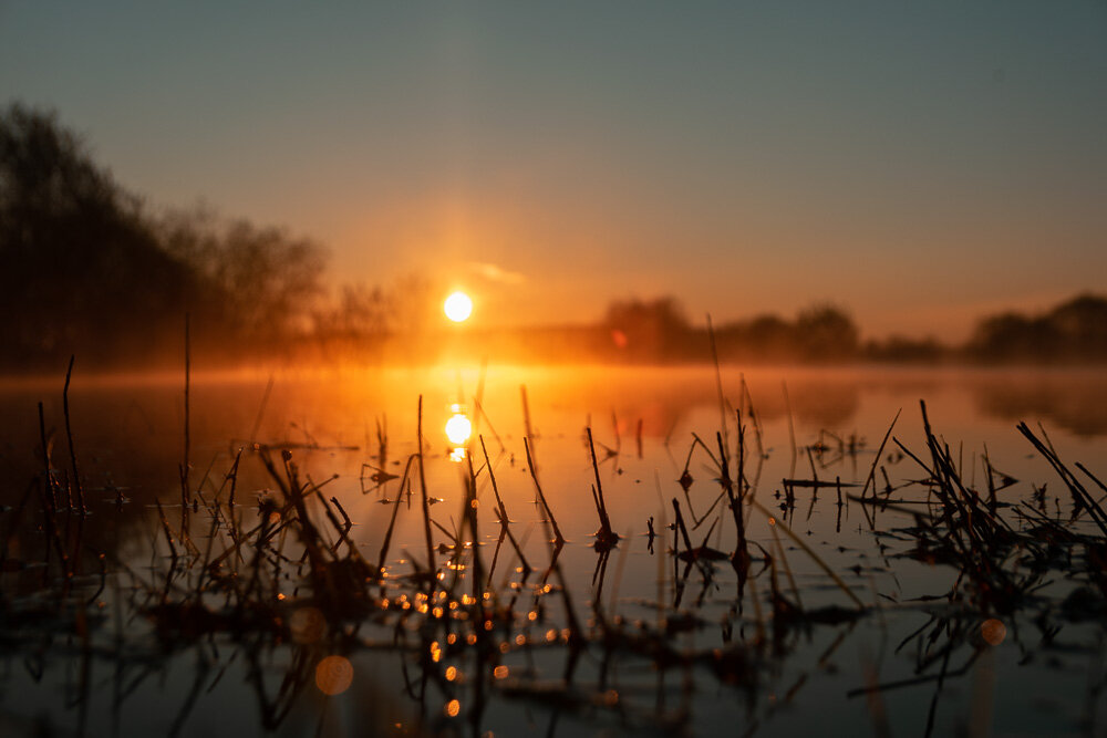 Утро - Николай Северный