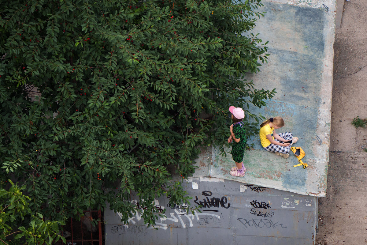 Вишня созрела - daimos 