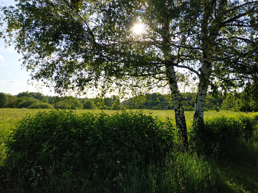 * * * - Андрей Лукьянов