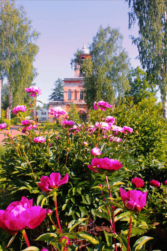 Веденский женский монастырь - Сергей Кочнев