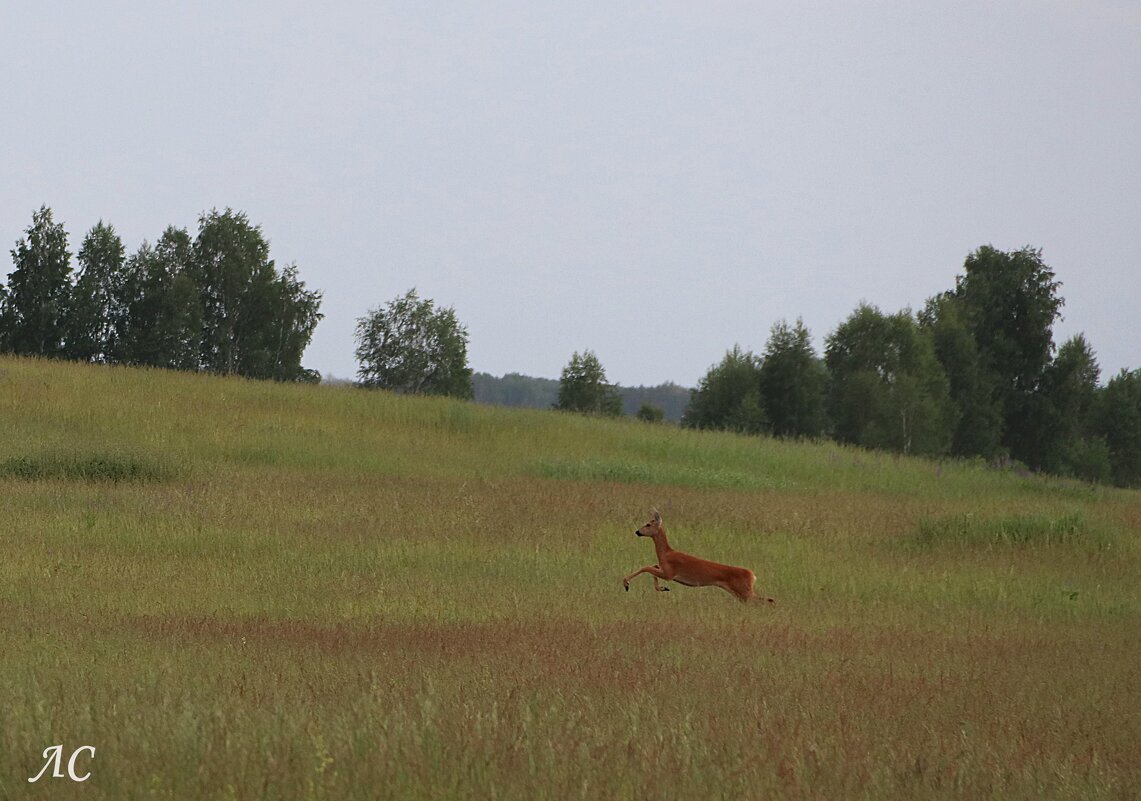 Случайные встречи - Любовь Сахарова