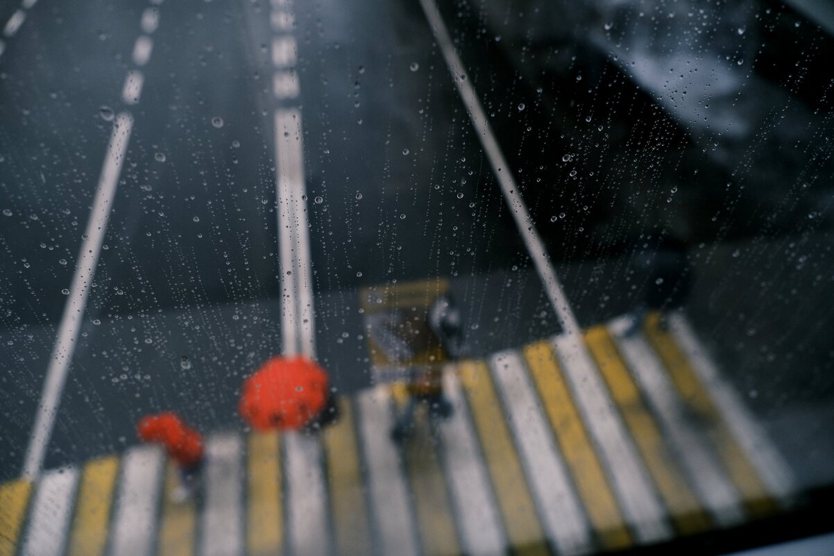 Крокус Принт Упак - Сергей Золотавин