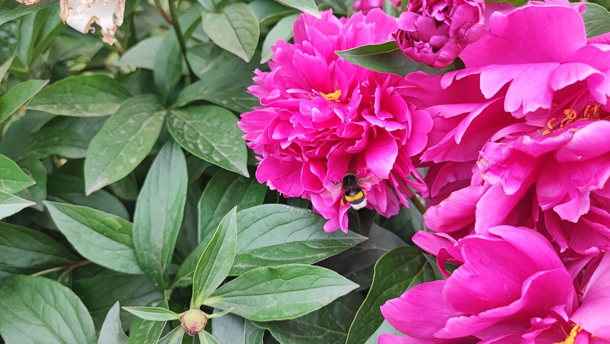 ,,, - Сергей Тимоновский