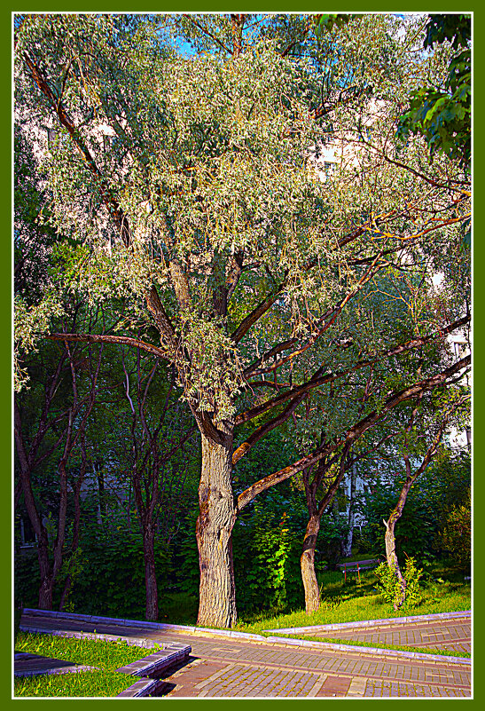 Фотоэтюд - Владимир Кроливец Фотоэтюд - Владимир Кроливец