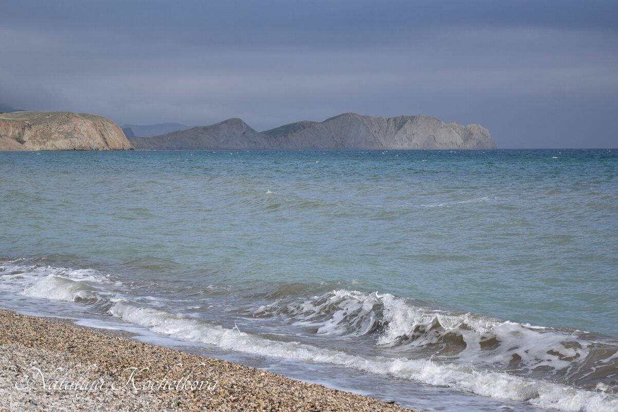 Природа Крыма - Amazing Cosmea Природа Крыма - Amazing Cosmea