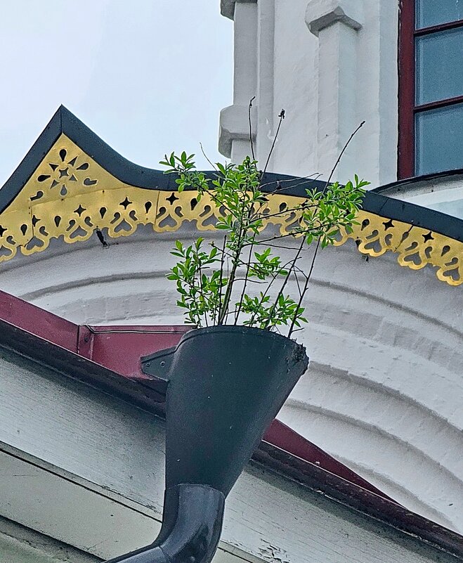 Как хочется жить - Михаил Свиденцов