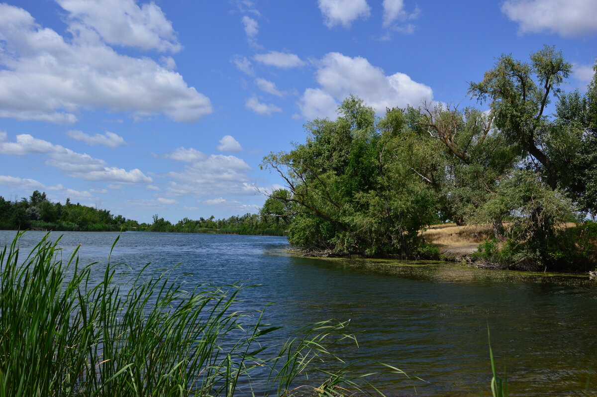 Лето. - Виктор 