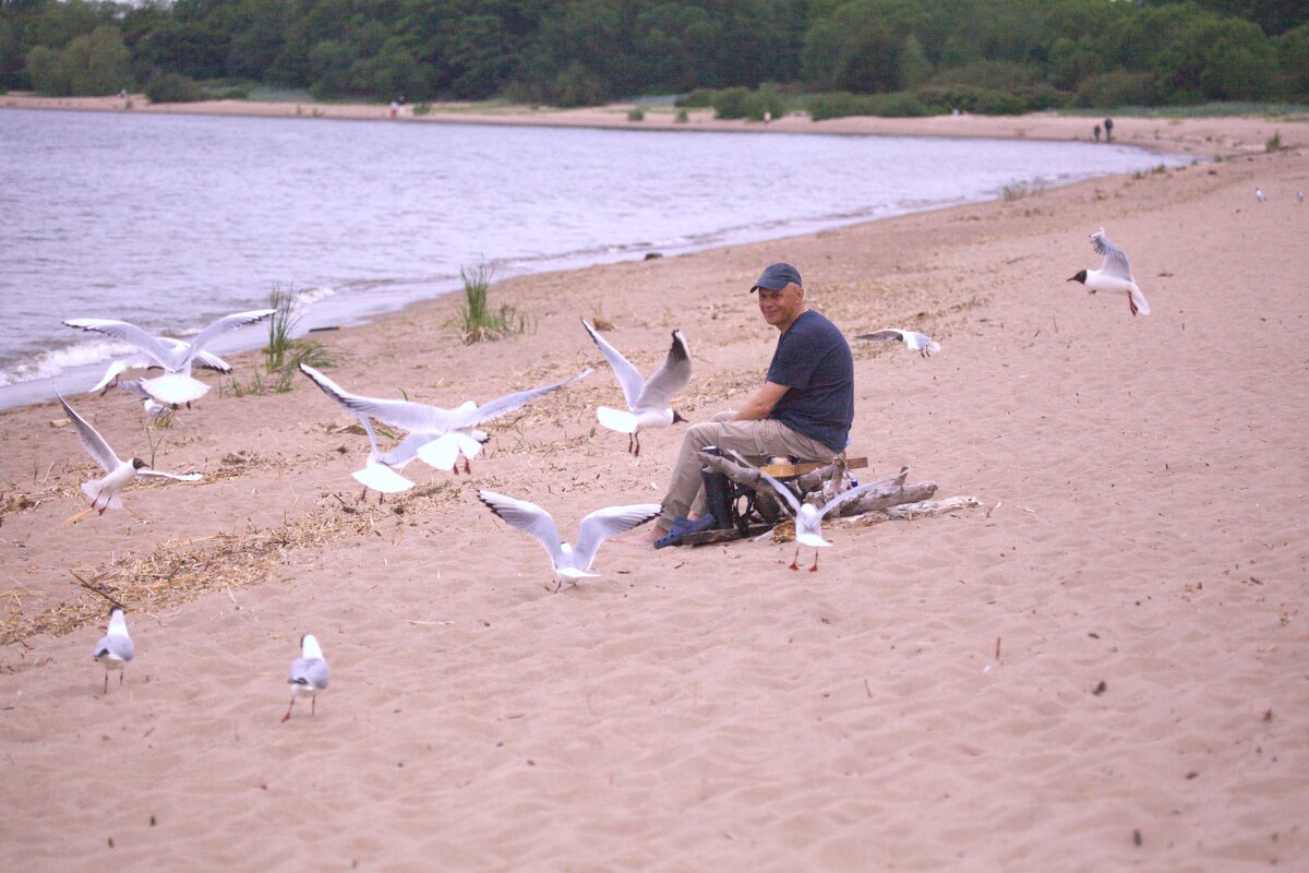 Кормление чаек - Танзиля Завьялова