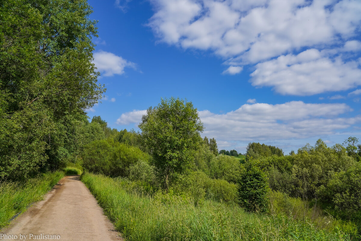 Тропинками лета... - Владимир Жданов Тропинками лета... - Владимир Жданов