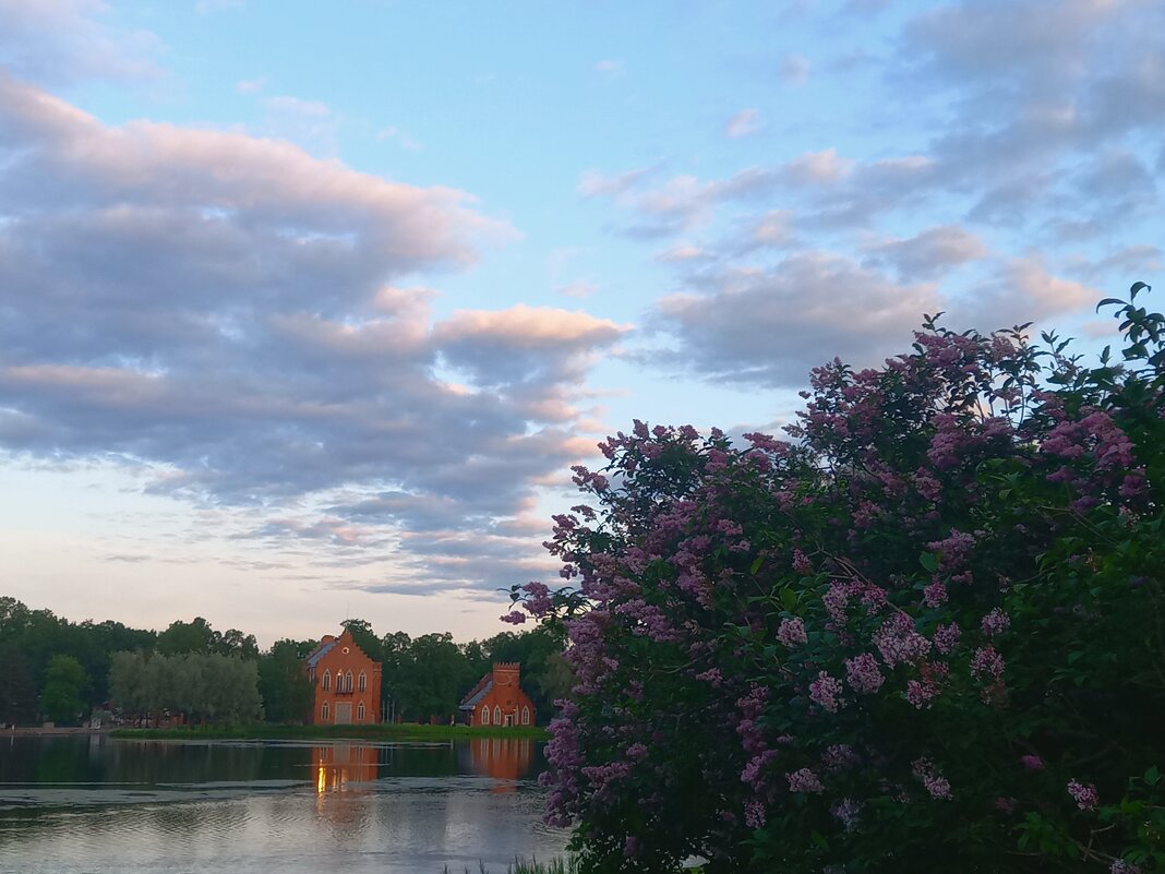 Закат - Сапсан 