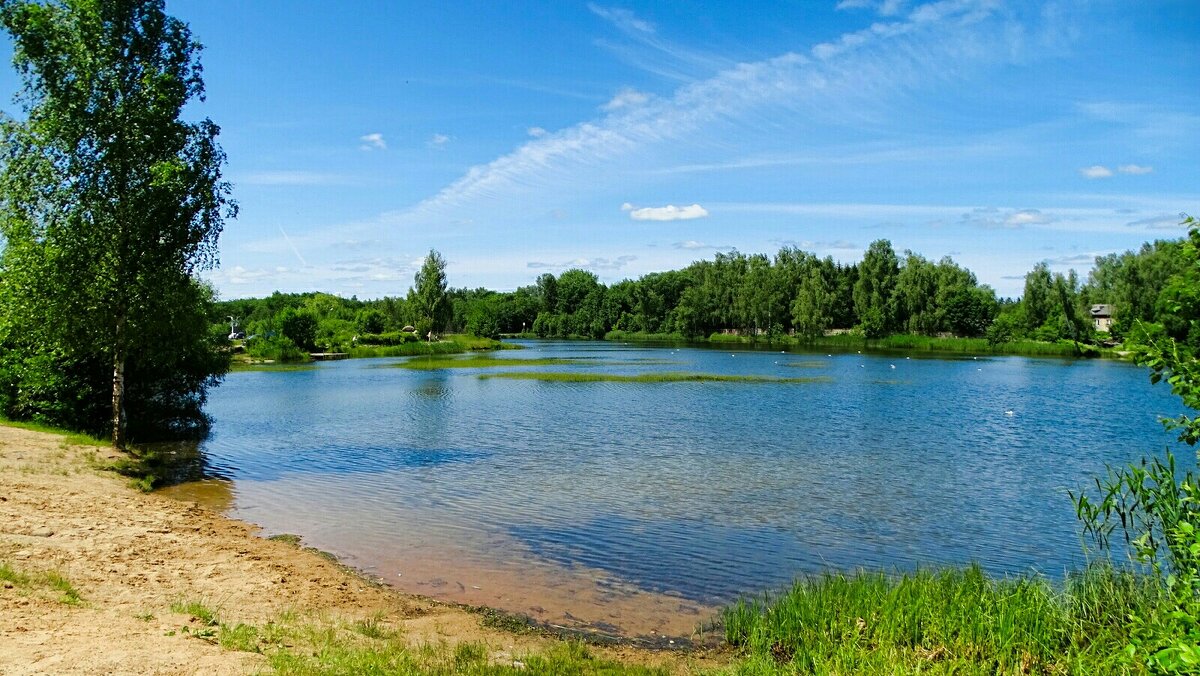 Смоленское лето. - Милешкин Владимир Алексеевич 