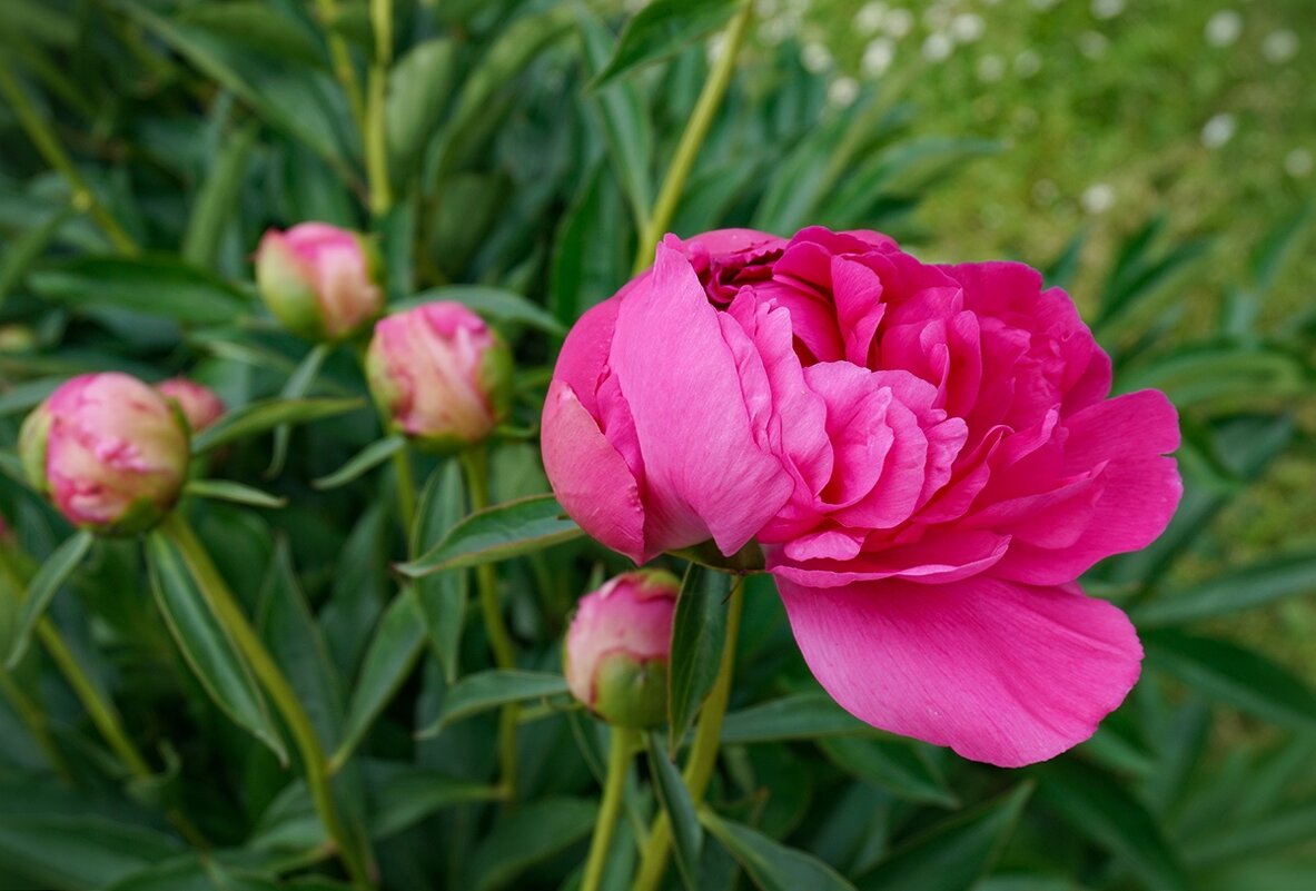 В ботаническом саду - Ольга 