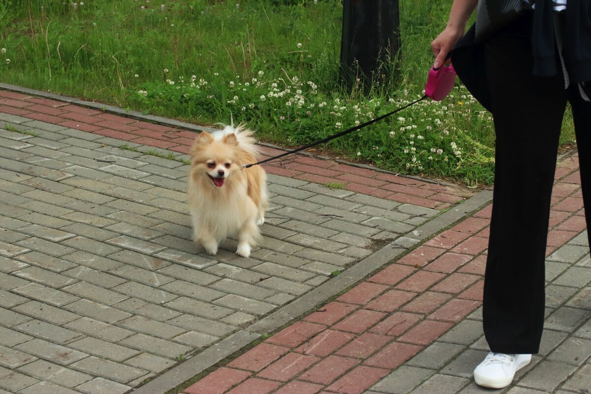 А это мой любимый пупсик! - Владимир 