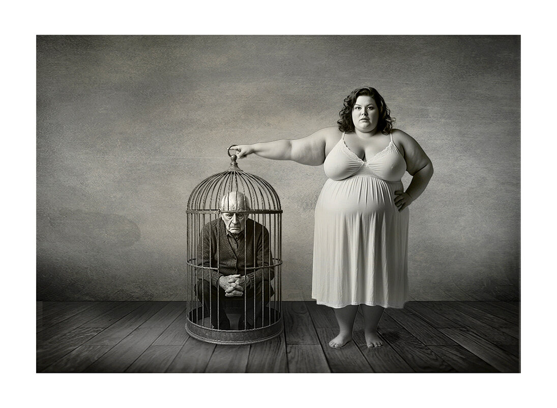 отдам даром (к лотку приучен) - старик 