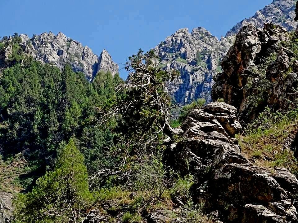 ПО ГОРАМ. - Виктор Осипчук