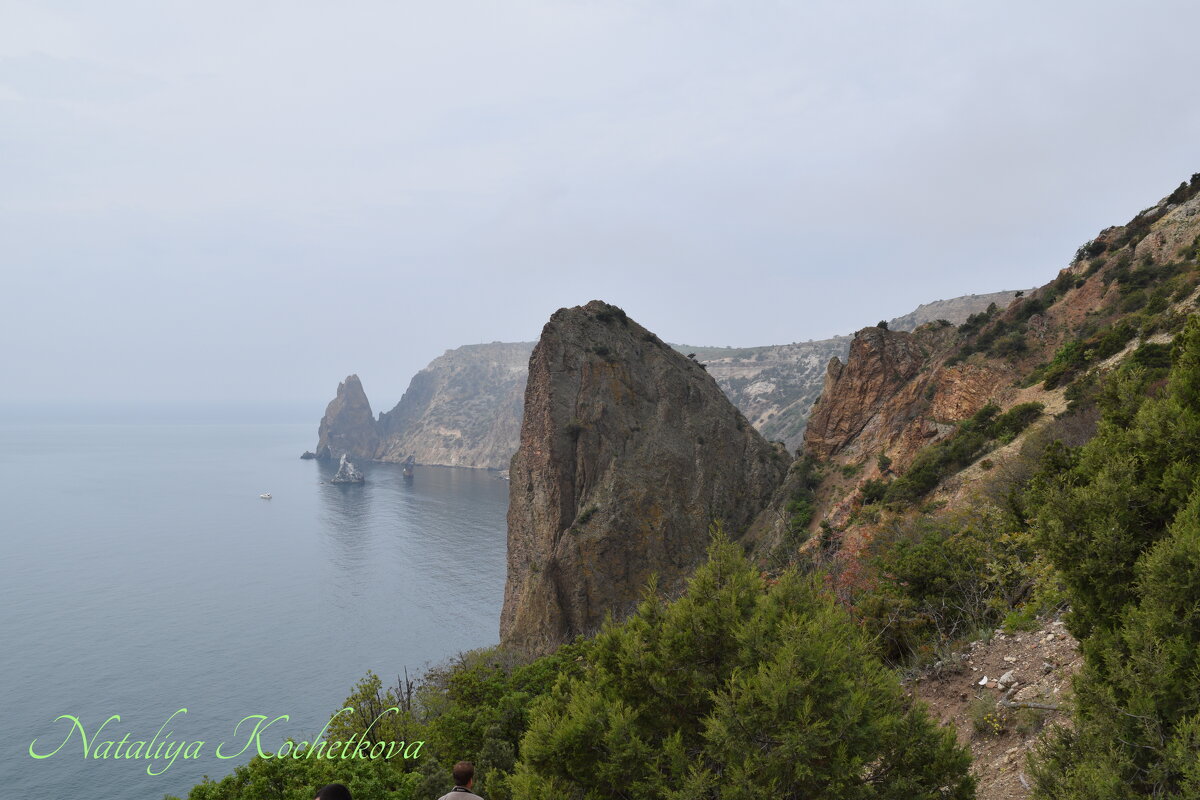 Природа Крыма - Amazing Cosmea