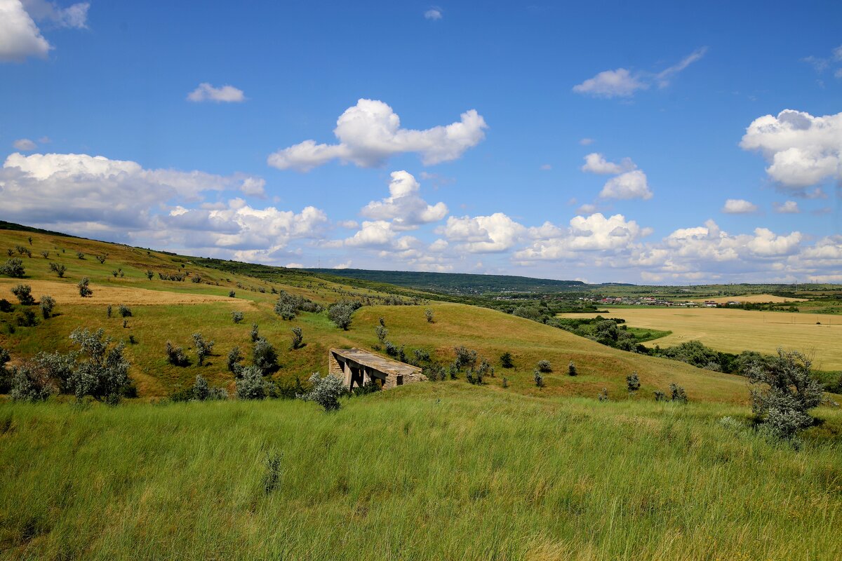 Просторы - Evgeny Mameev