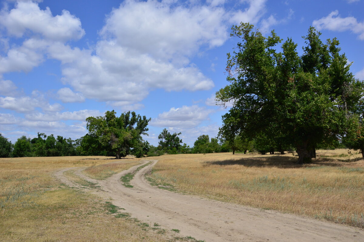 Мои дороги. - Виктор Мои дороги. - Виктор
