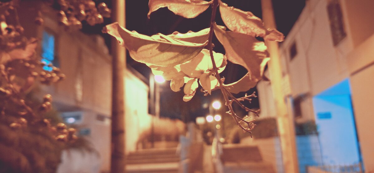 13  ОПЕН (179) - OPEN WAYS ALL