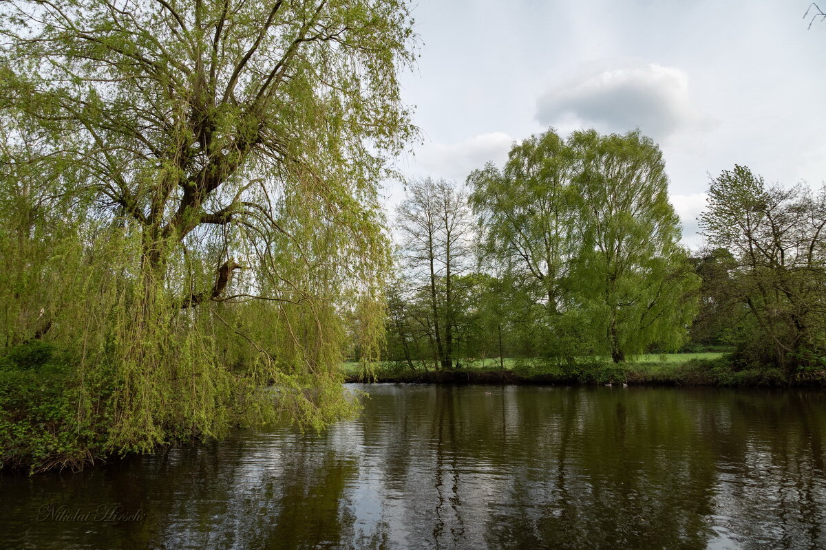 *** - Николай Гирш