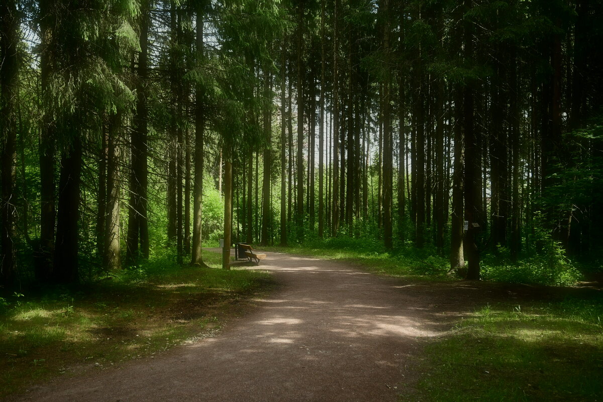 природа - סּﮗRuslan HAIBIKE Sevastyanovסּﮗסּ