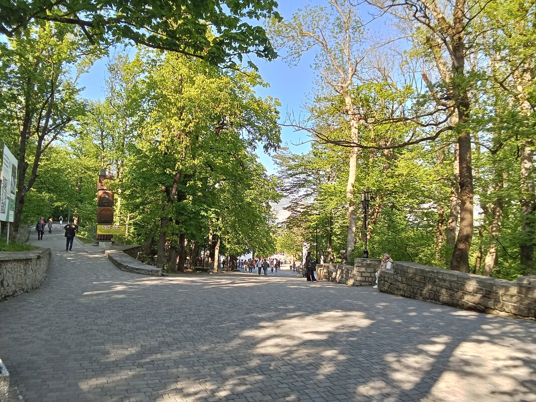 Аллеи Курортного парка - Виктор 