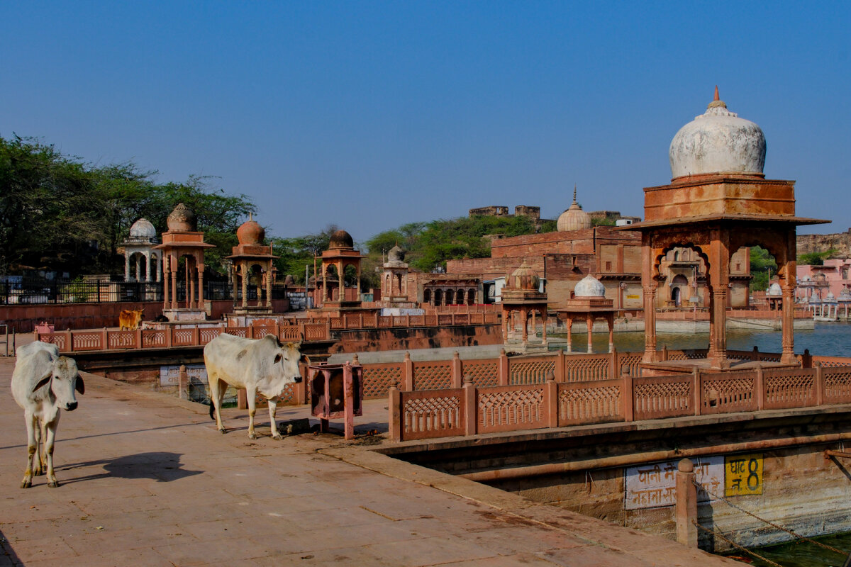 г. Дхолпур - Георгий А г. Дхолпур - Георгий А