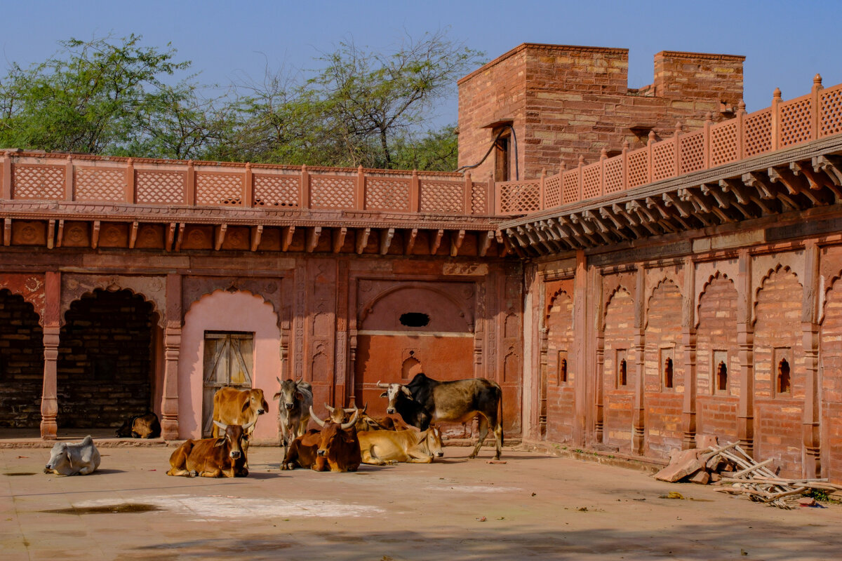 В храме Маккунд - Георгий А