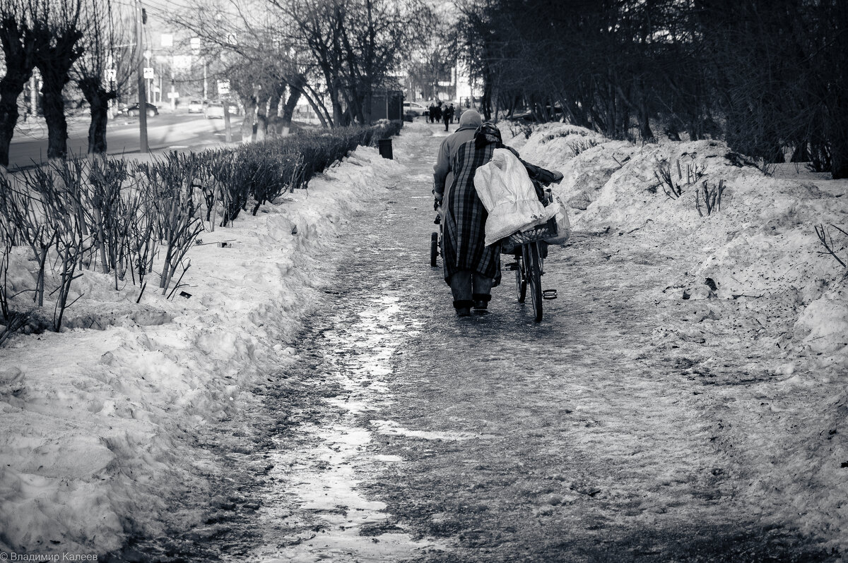 Жизнь на пенсии - Владимир Калеев