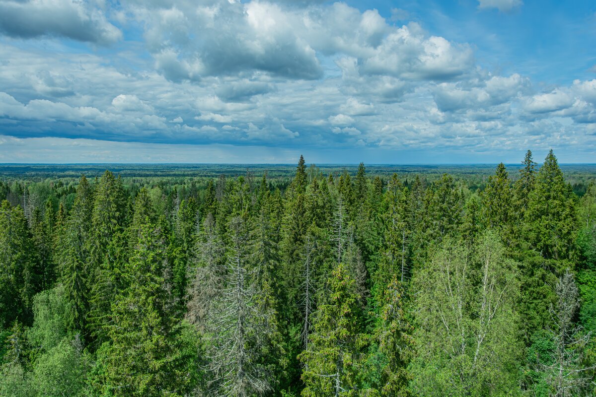 На отметке 296 метров - Александр Филатов