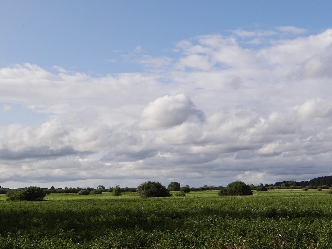 Небо и земля - Антонина Гугаева