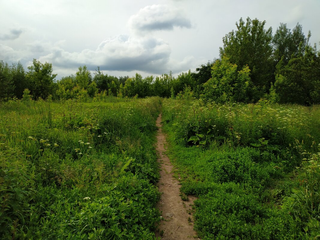 * * * - Андрей Лукьянов