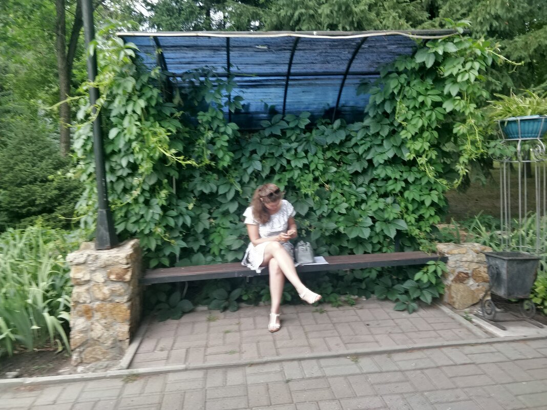 Сидит студентка - Андрей Хлопонин