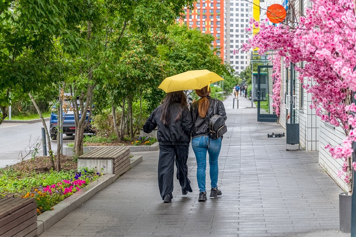 Дождливый июнь - Валерий Иванович