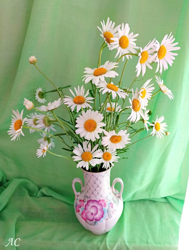 Ромашки - символ лета - Любовь Сахарова Ромашки - символ лета - Любовь Сахарова