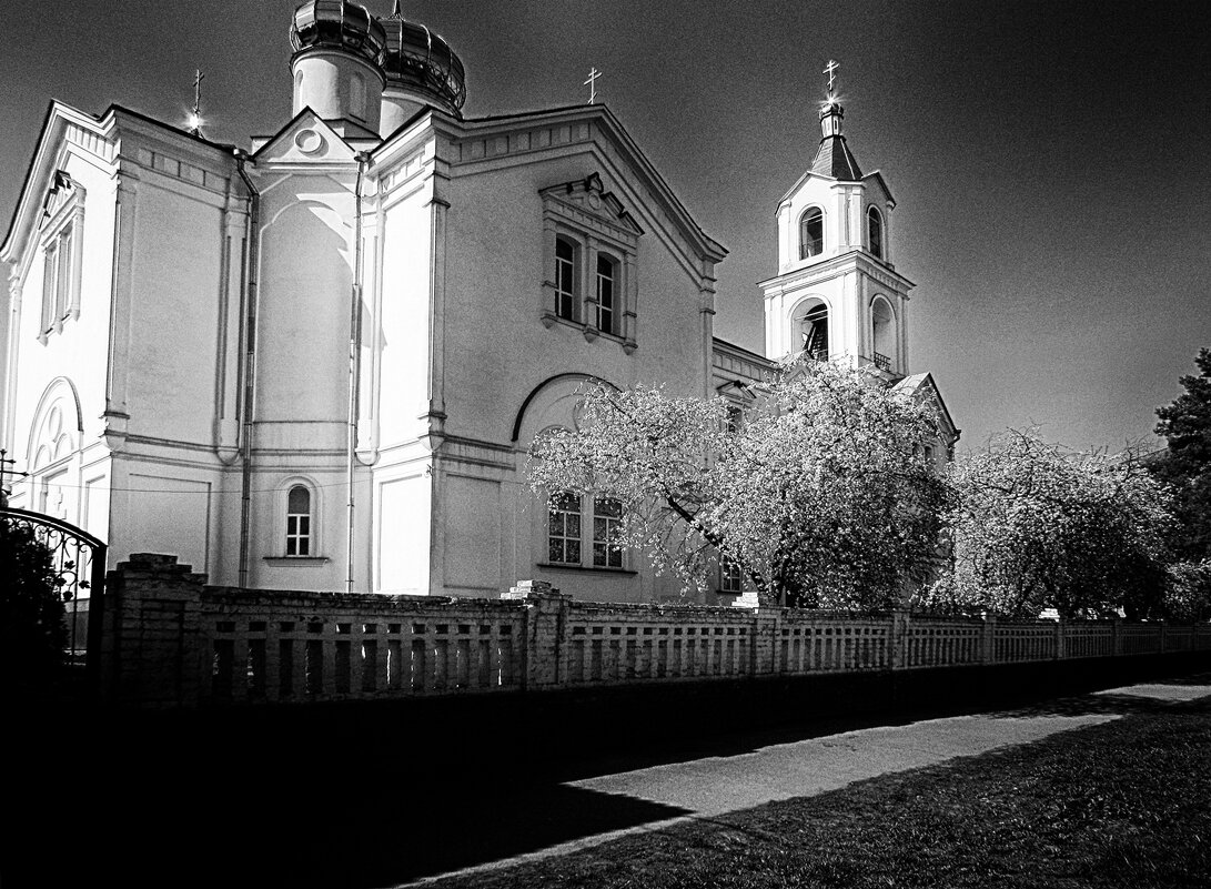 ЧБ фотография - Роман Савоцкий