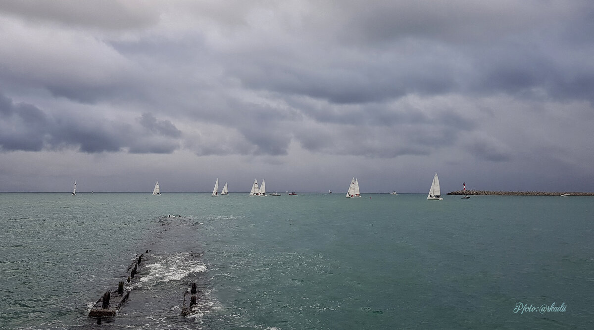 Регата (серия) - arkadii 