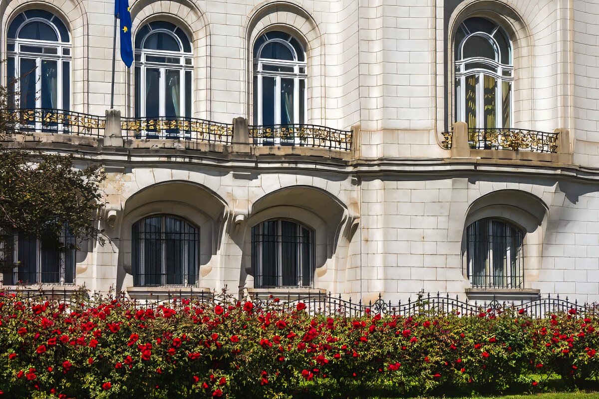 Вена, розы у посольства Франции - Игорь Сикорский