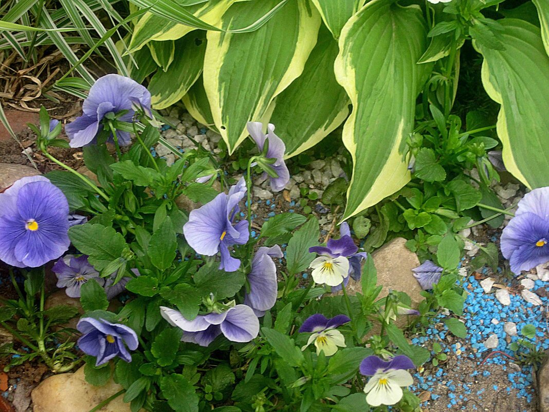 На улицах города - Елена Семигина