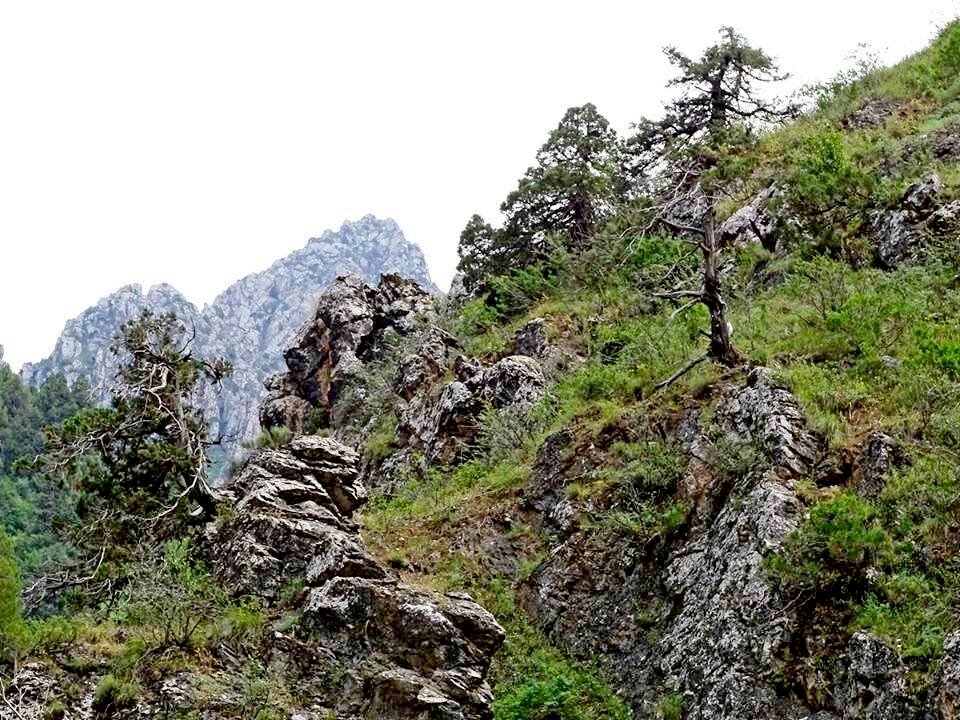 ВЗГЛЯД ПО СТОРОНАМ. - Виктор Осипчук