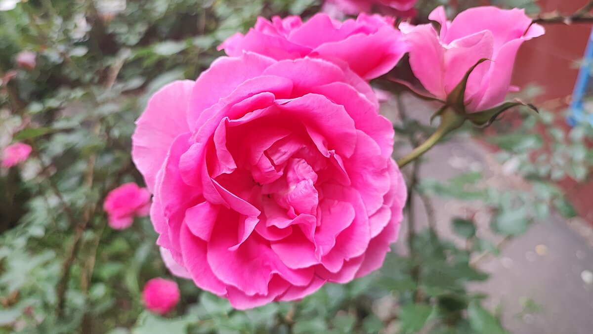 ,,, - Сергей Тимоновский