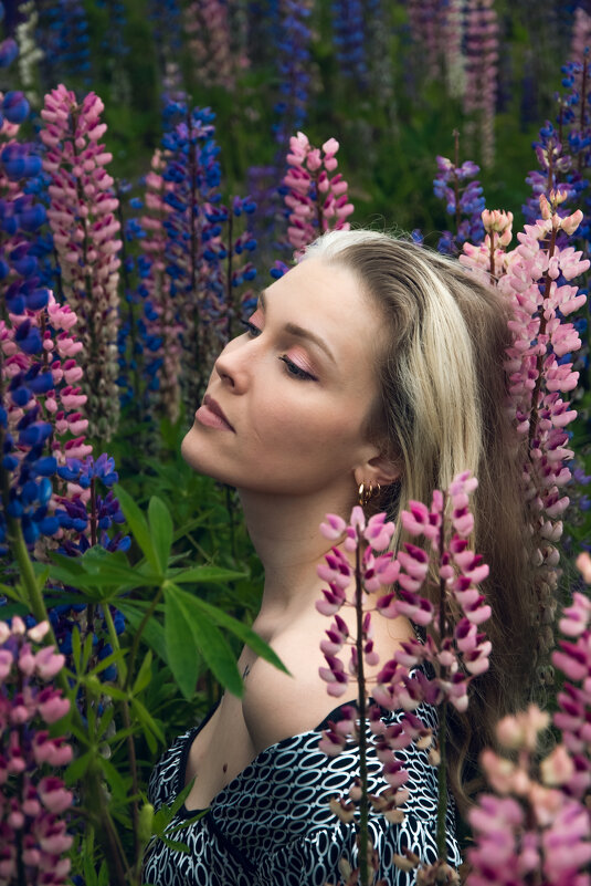 люпины - Ольга Зинченко люпины - Ольга Зинченко