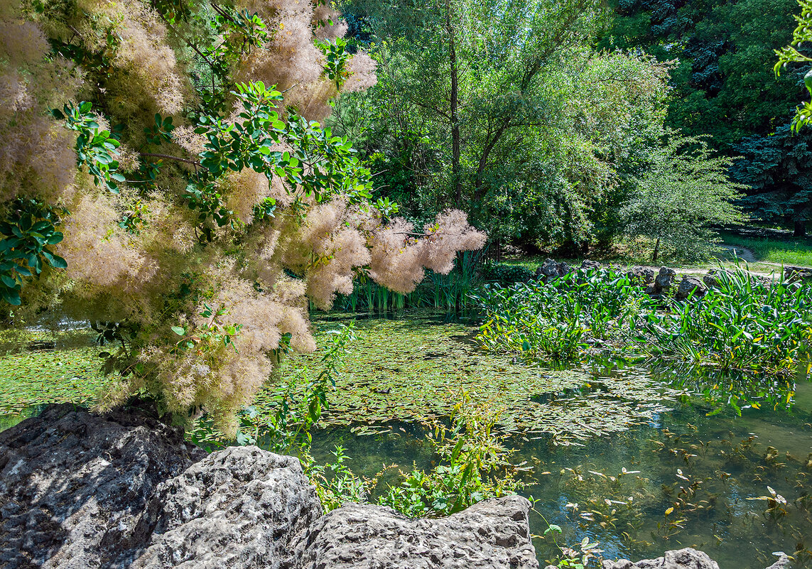 Над прудом - Варвара 