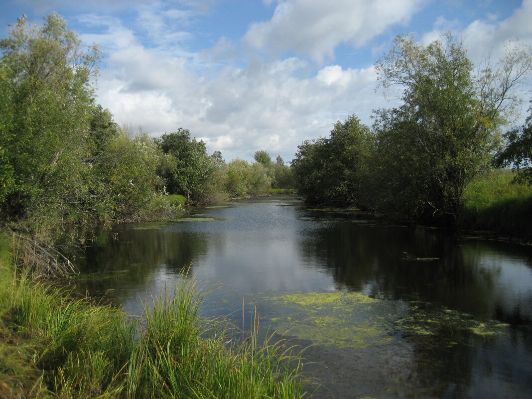 Озеро - Anna Ivanova