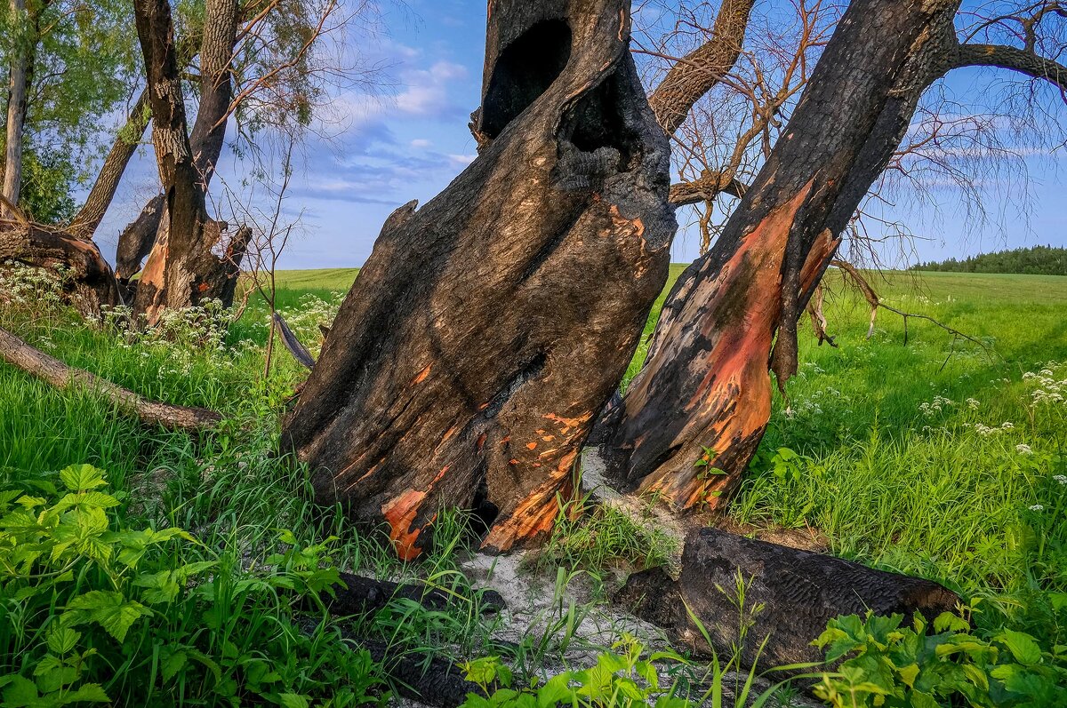 Сгоревшие... - Влад Никишин