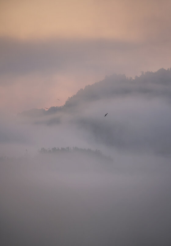 * - Александр Иванов