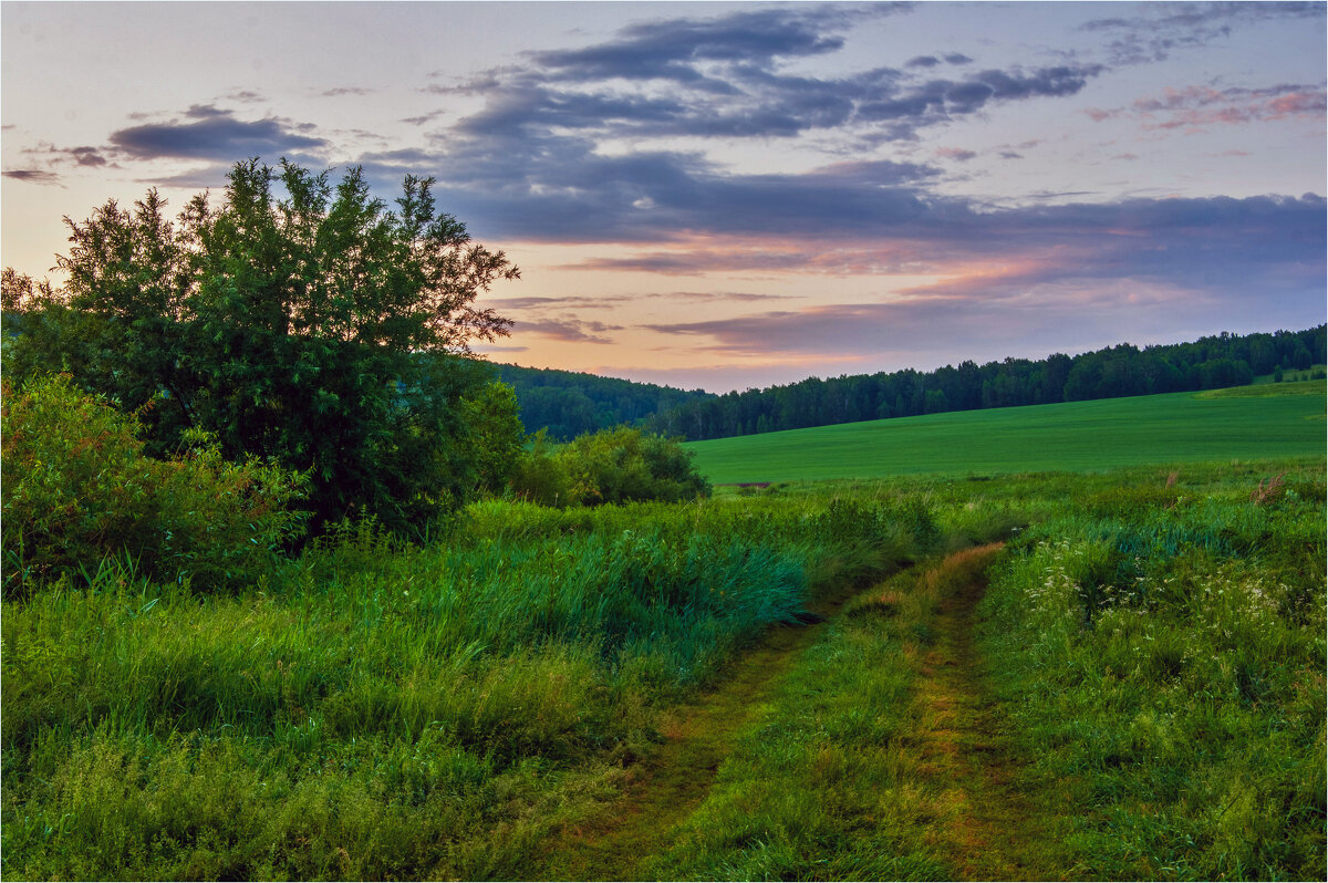 **** - Алексей Мезенцев