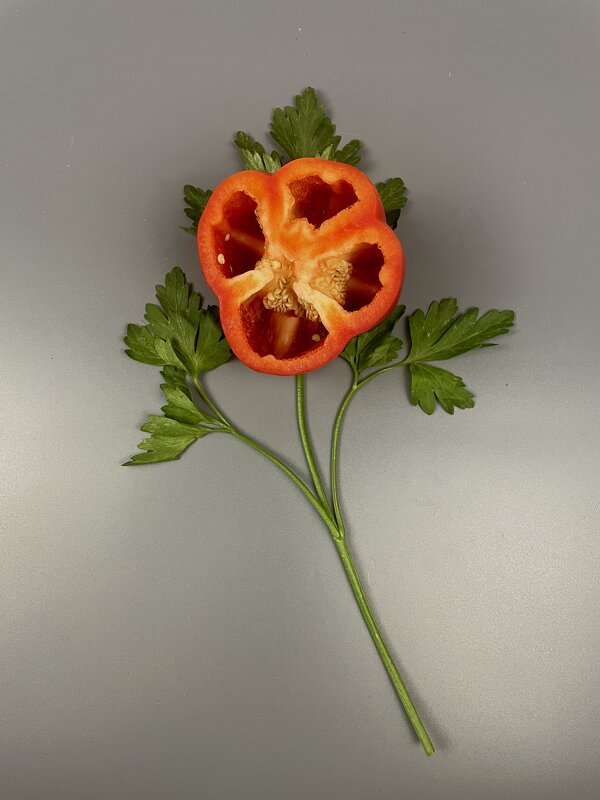 Полезный цветок - Виктор Орехов Полезный цветок - Виктор Орехов